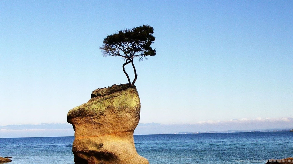 Nature Wallpapers Reddit