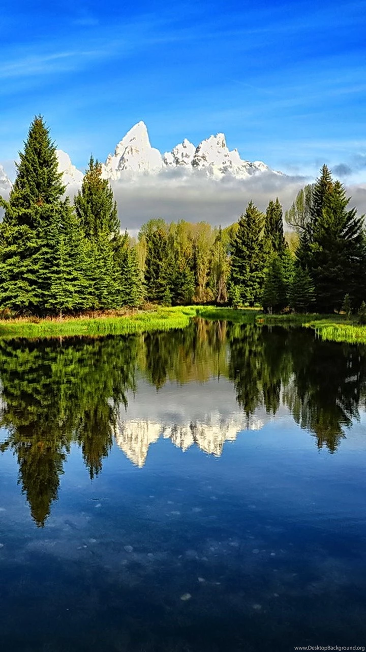 Samsung Galaxy S Hd Wallpapers