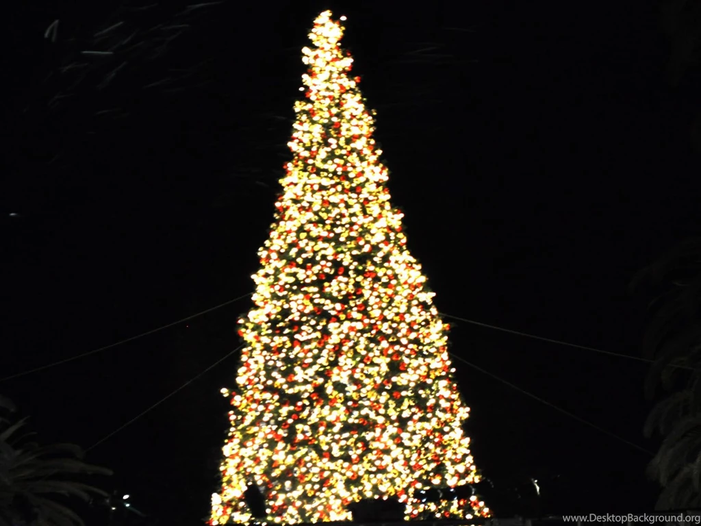 Christmas Tree 22 Cool Hd Wallpapers Hivewallpaper.com