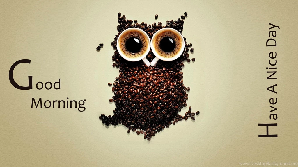 Good Morning Hd Wallpapers Collection (37+)