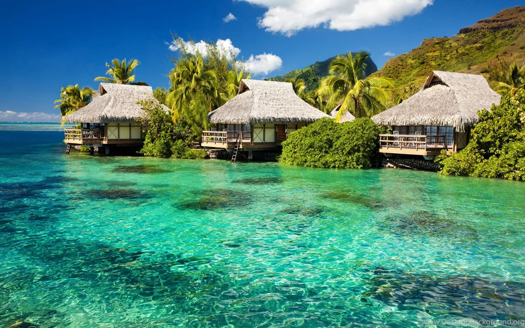 Tropical Wallpapers HD