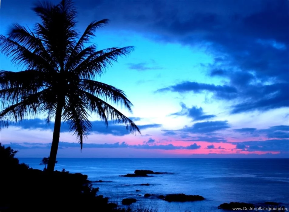 Tropical Island Sunset Wallpapers