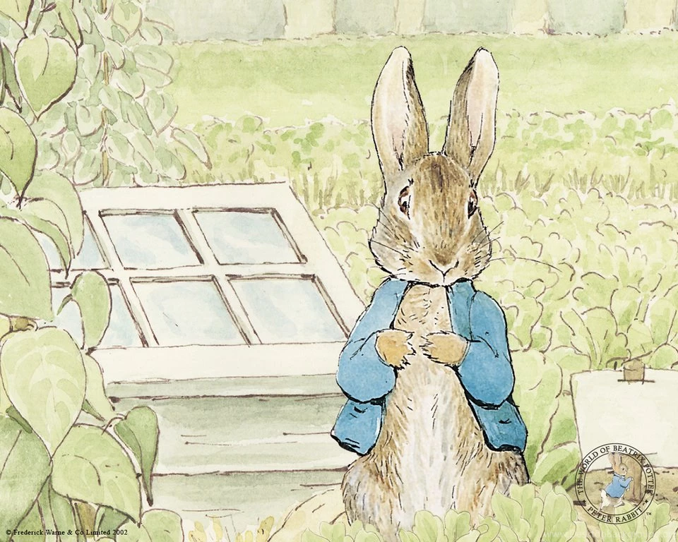 Live Action/CG Animated 'Peter Rabbit' Movie In Development At Sony