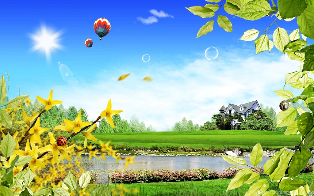 Wallpapers For Home Walls HD Wallpapers And Pictures