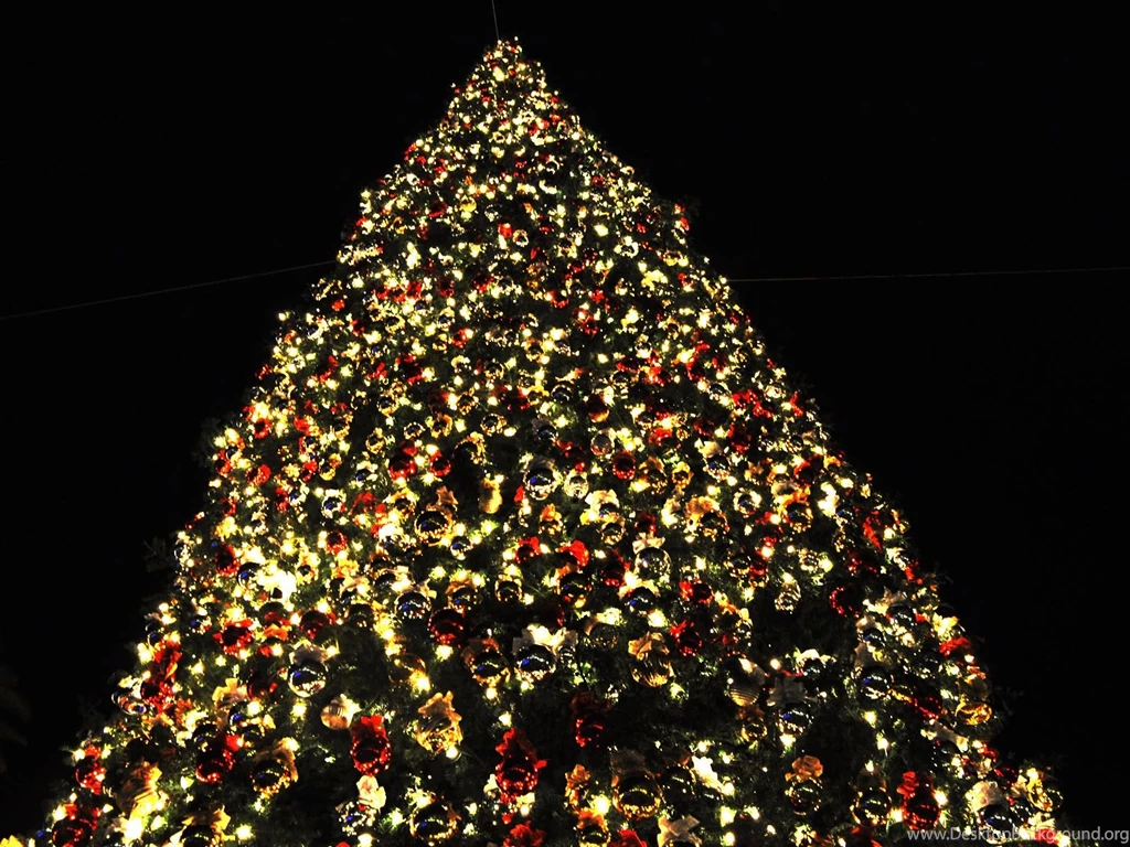 Christmas Tree Lighting Decorations