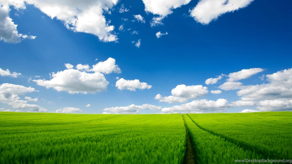 Widescreen Wallpapers