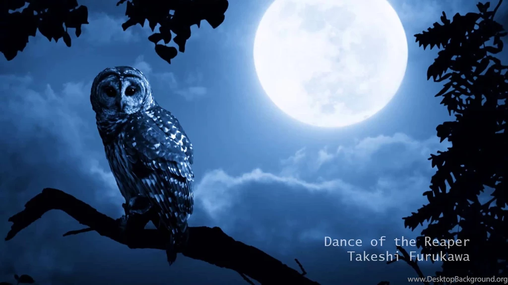 Tim Burton Style Free Wallpapers : Other Wallpapers Timbena.com