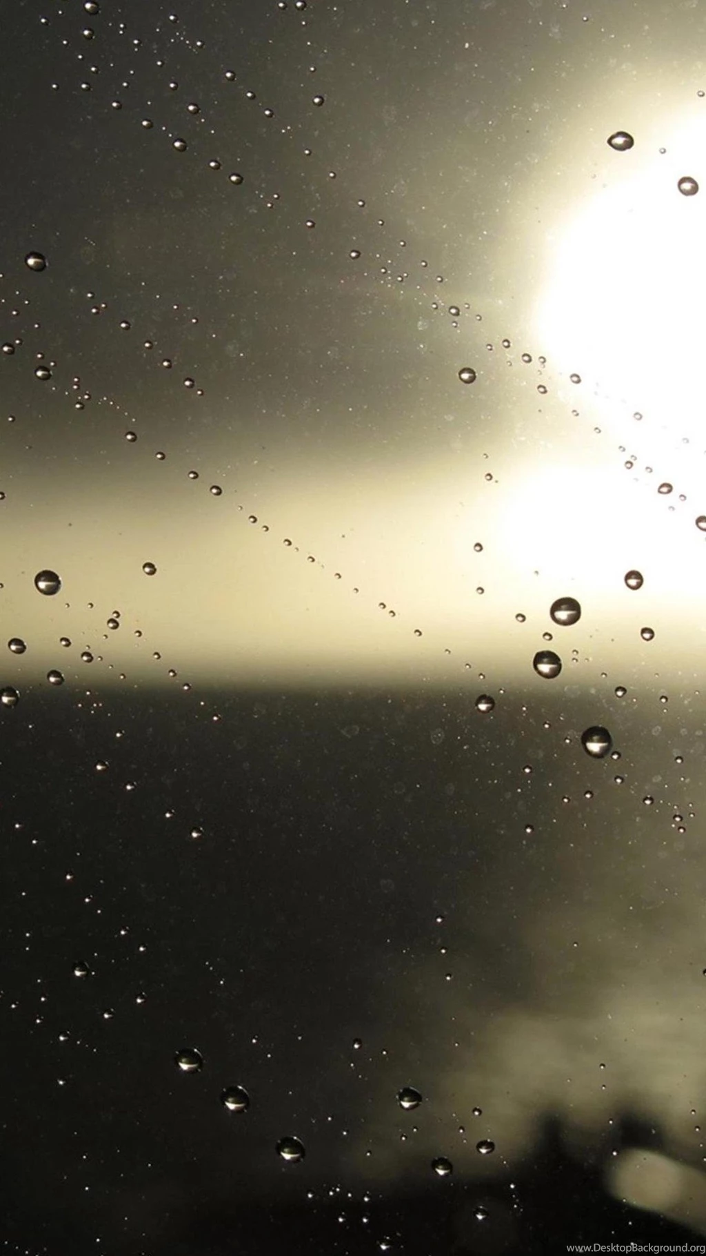 Water Drops Nexus 5 Wallpapers HD