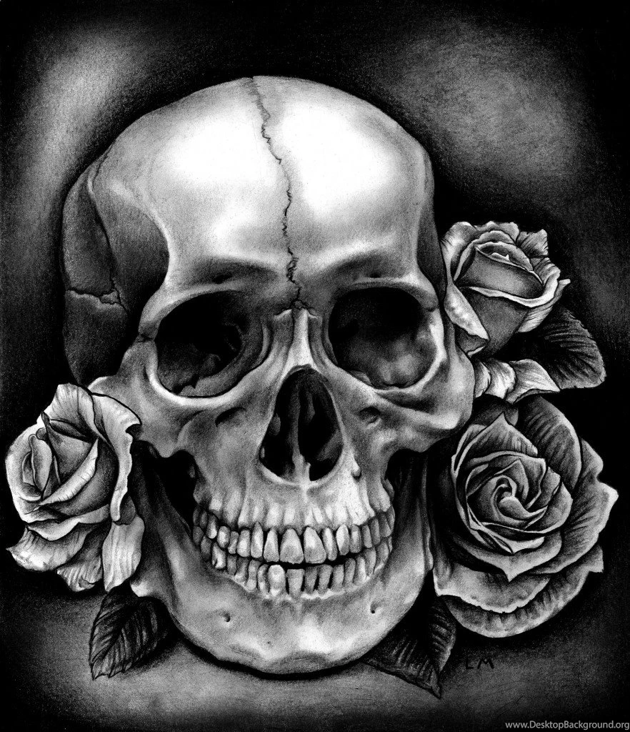 Skulls And Roses Wallpapers Wallpapers HD Base Desktop Background