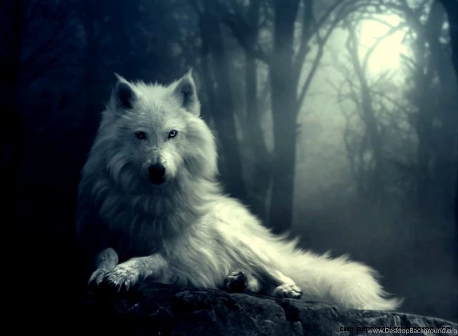 3D Wolf Computer Wallpapers