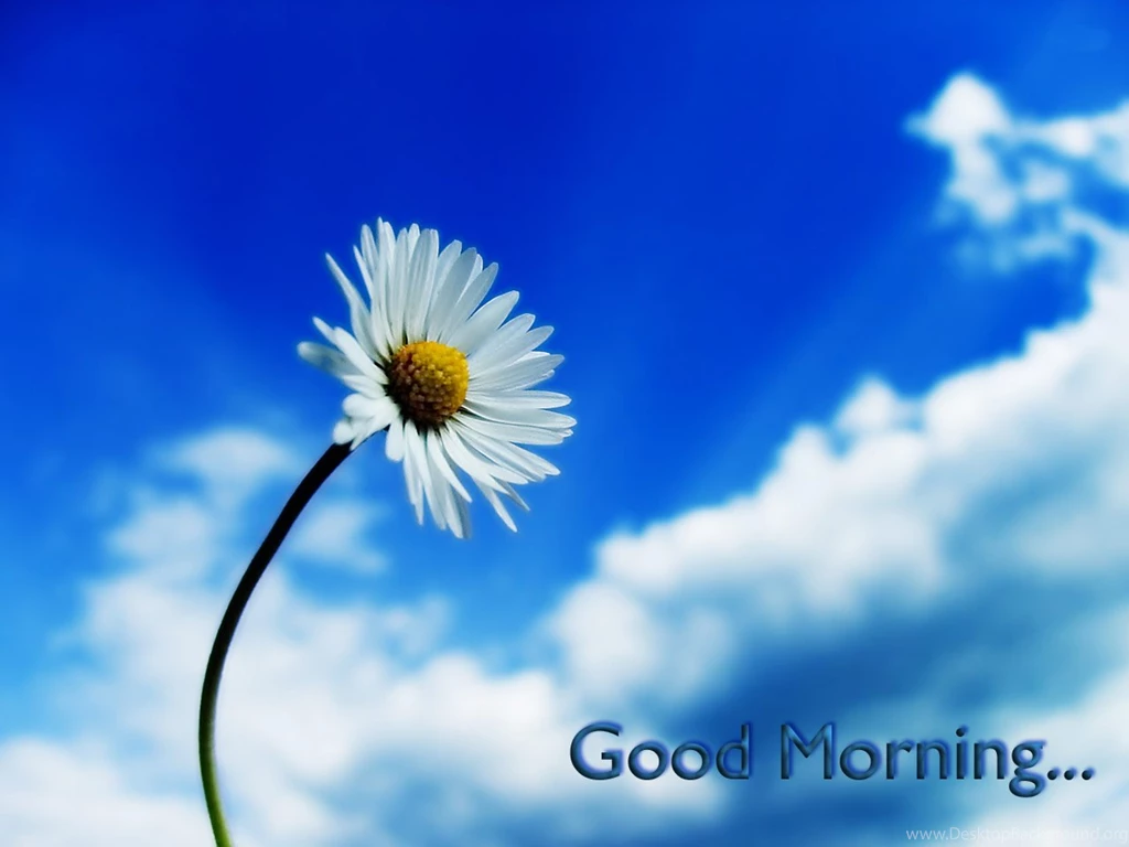 Good Images Of Flowers Hd
