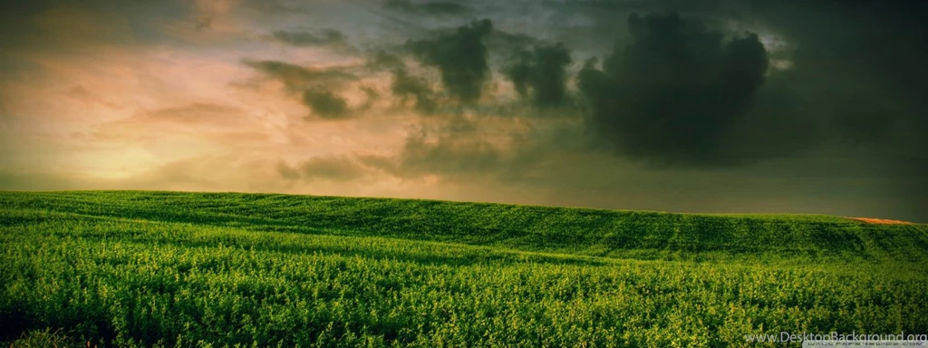 Beautiful Green Grass Field HD Desktop Wallpapers : High Definition ...