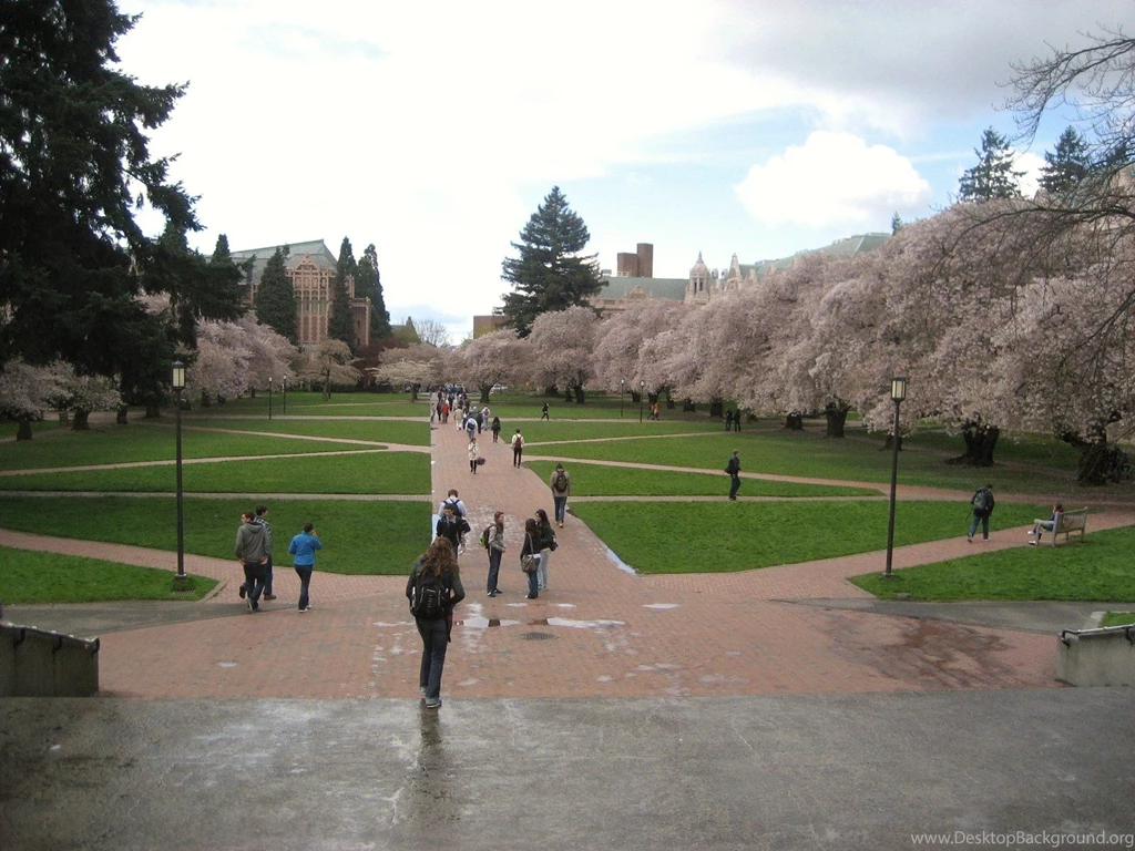 Spotlight On University Of Washington