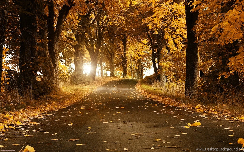 Wallpapers Di Explorer