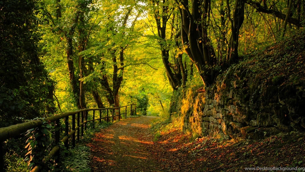 Nice Wallpapers Download Wallpapers HD Wide