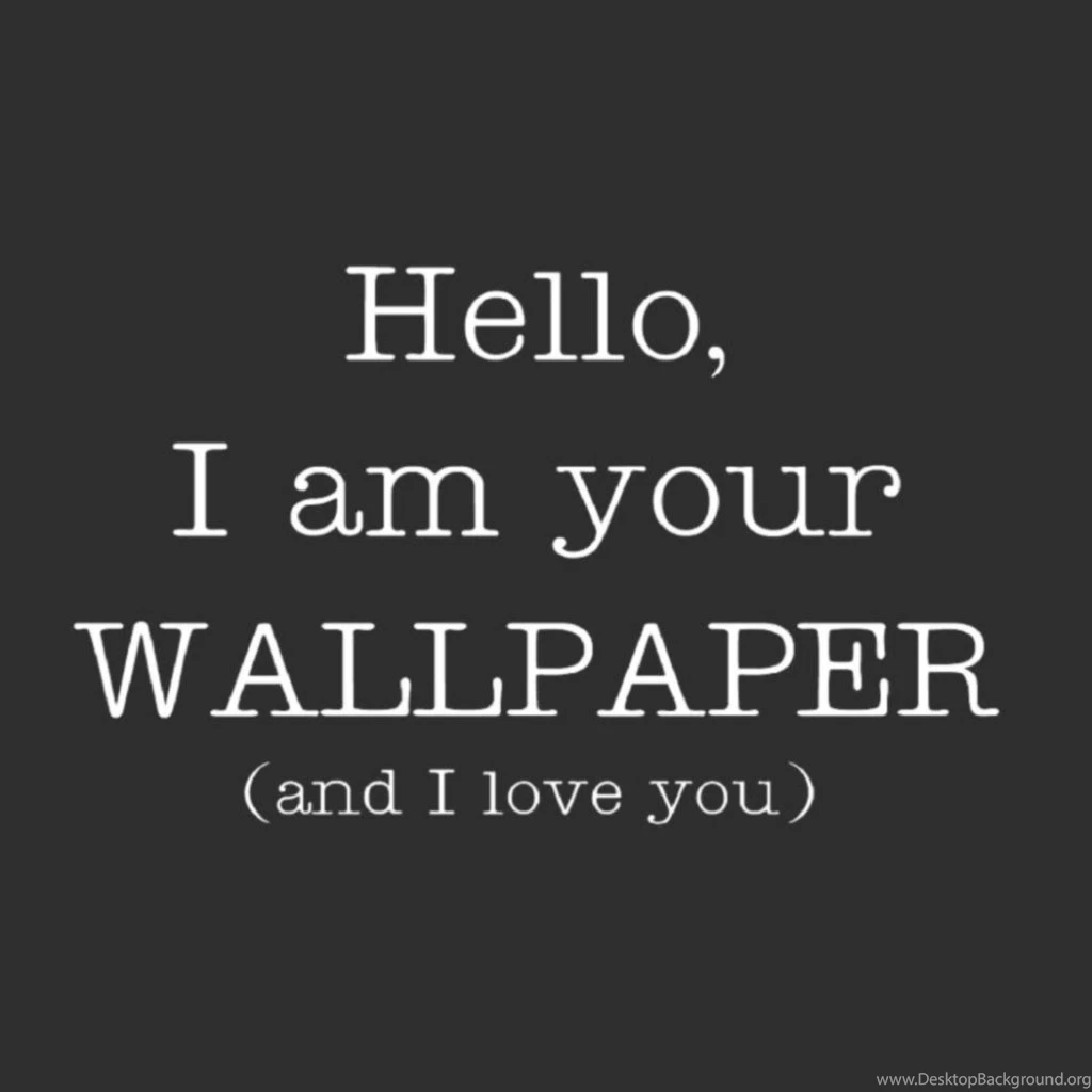 Funny Ipad Wallpapers HD Free iPad Backgrounds My Lovely IPad