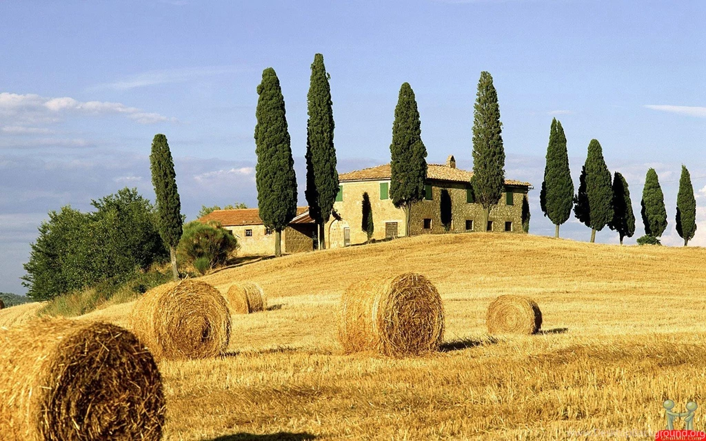 Superb Golden Nature View Wallpapers – HD Wallpapers Free Download