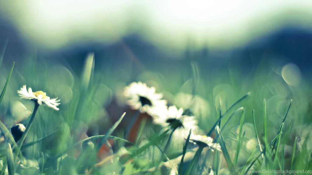 Vintage Wallpapers Flowers Wallpapers » WallDevil Best Free HD ...