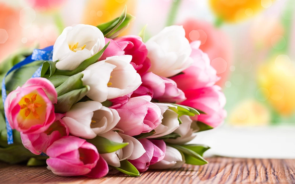 Pink And White Tulip Flower Bouquet Wallpaper,Pink HD Wallpapers ...
