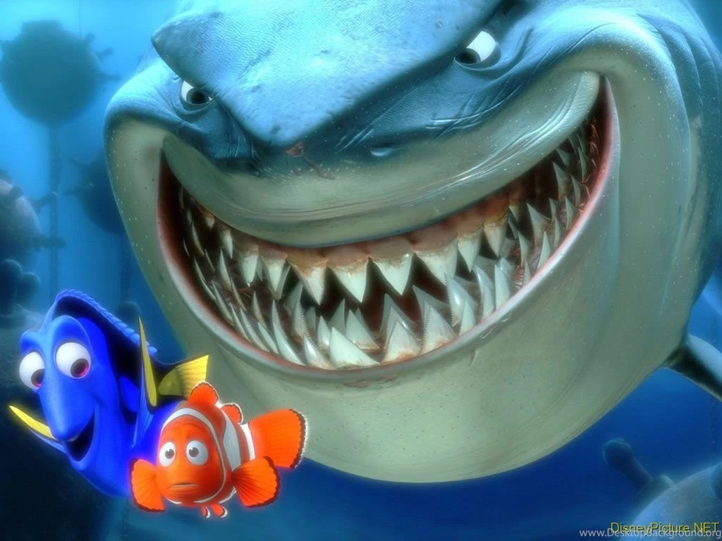 Beautiful Nemo Fish Wallpapers ~ WALLPAPERS Desktop Background