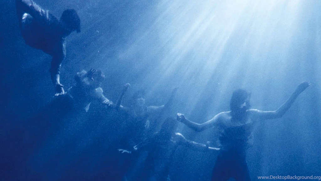 Wet Cement Wallpapers: Foals Total Life Forever 1920x1200 1920x1080