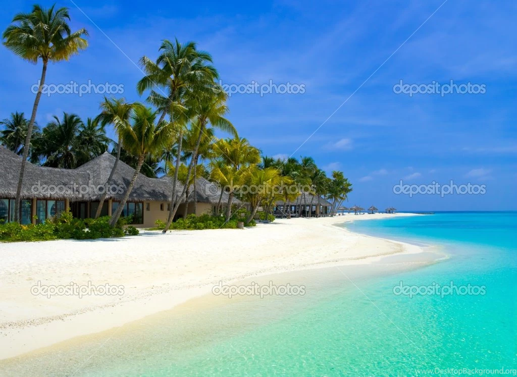 Tropical Island Hd