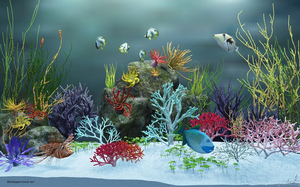 Aquarium Wallpapers