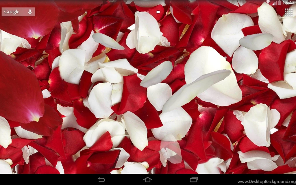 Petals 3D Live Wallpapers Android Apps On Google Play