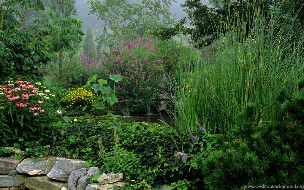 BEAUTIFUL NATURE HIGH RESOLUTION WALLPAPER WALF1011