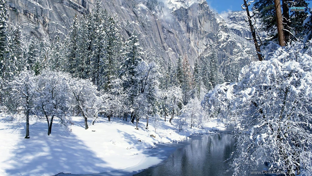 Snowy Mountains With Trees Wallpaper.