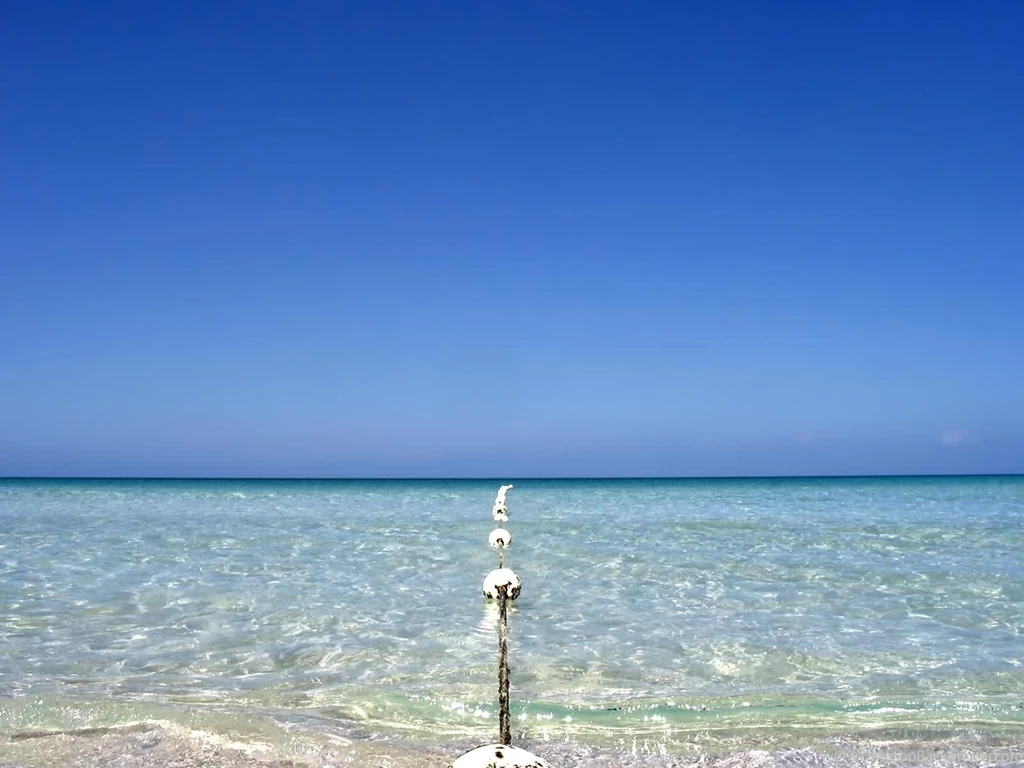 Background Images High Resolution Wallpapers HD Fine