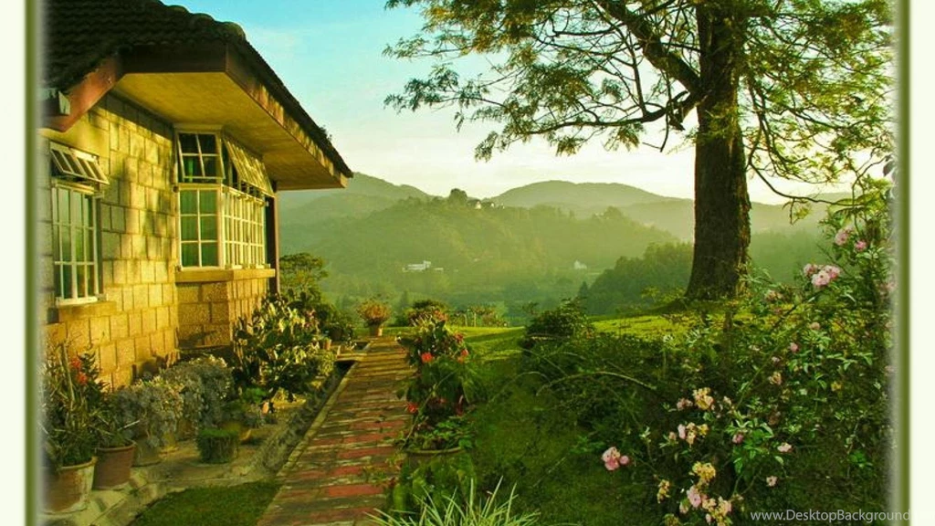 Green House 503977 Wallpapers (