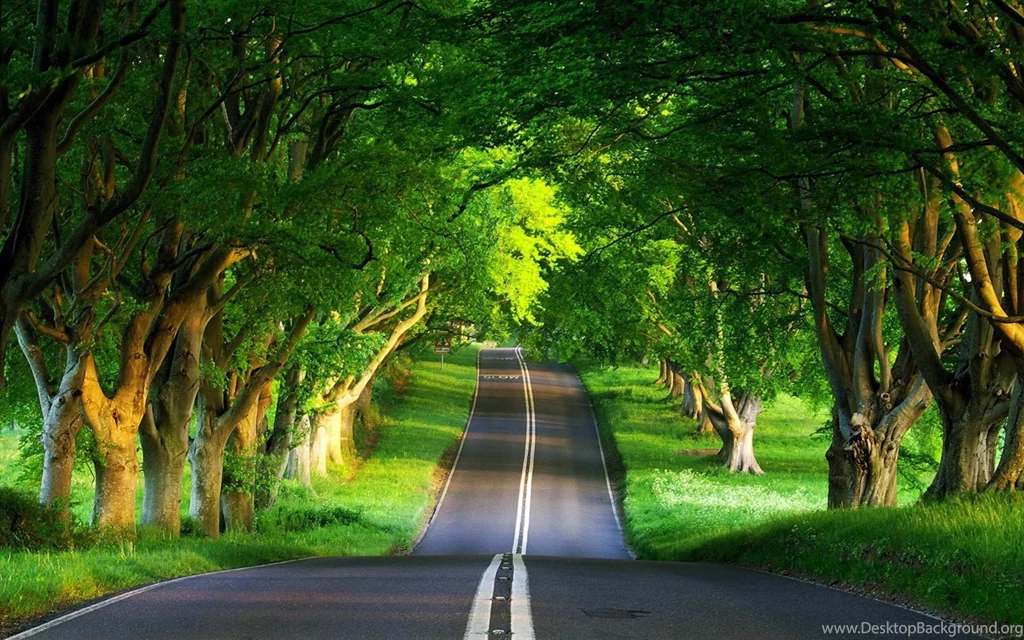 Beautiful Images Of Nature