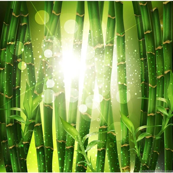 Green Bamboo Forest Backgrounds Backgrounds Free Download