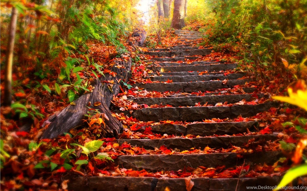 Autumn Fall Wallpapers Stairs