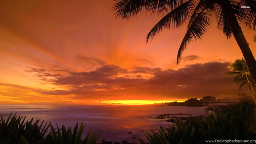 Hawaii Sunset, Usa, Beach, Beaches, 1920x1080 HD Wallpapers And ...