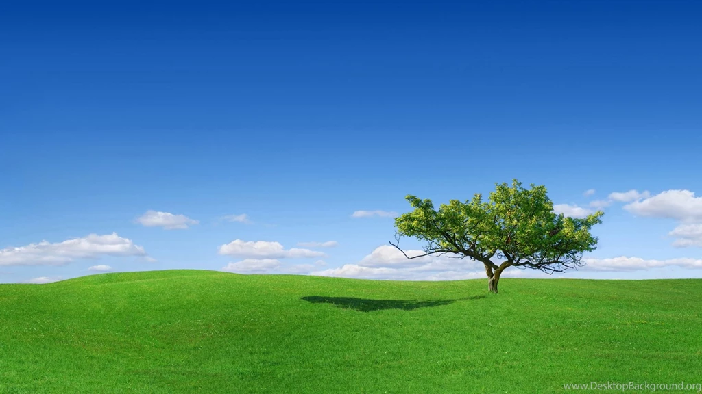 Beautiful Wallpapers For Computer HD Wallpapers And Pictures