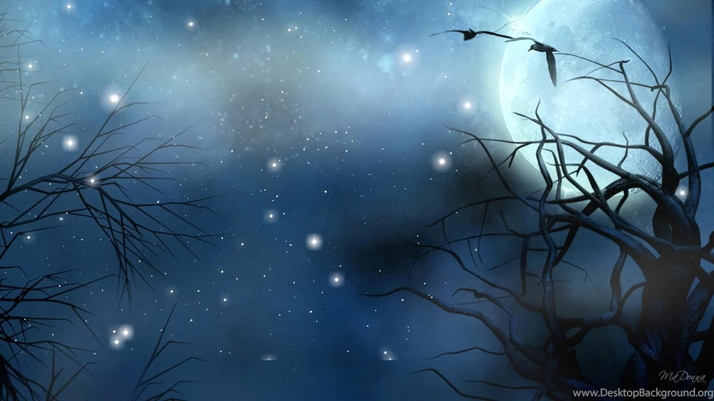 HD Birds Blue Moon Wallpapers