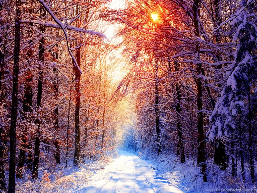FreePhotoz Daily Wallpapers & Backgrounds Sun And Snow At Winter ...