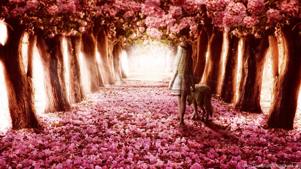 Fall Season Pink Flower Path Wallpaper, HQ Backgrounds