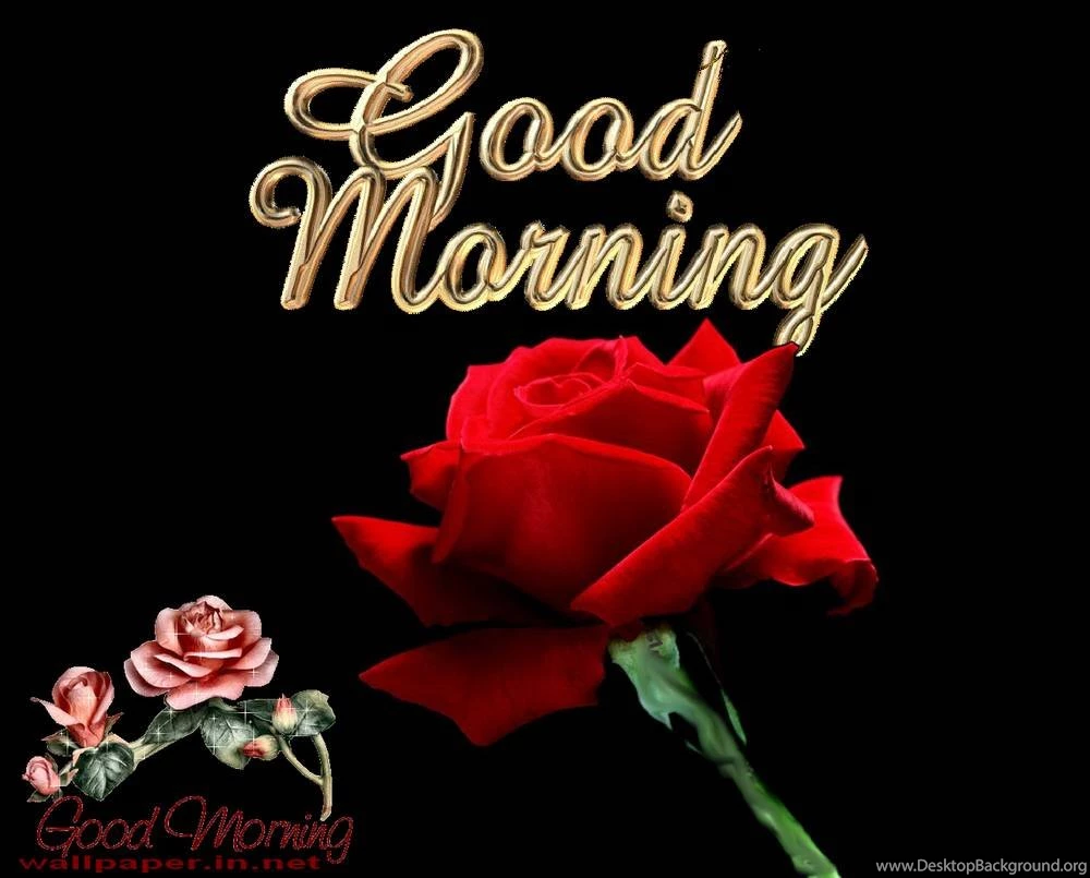 Good_morning_images_with_flowers_free_download 8.jpg