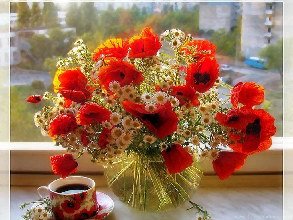 Download good morning wallpaper for facebook 7311.jpg