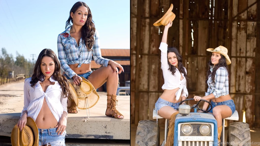 Wallpapers The Bella Twins Farewell To Wwe Divas Photo Fanpop ...