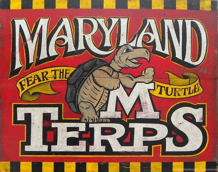 Maryland Terrapin Print , UMUC ,college, Wall Hanging, Original ...