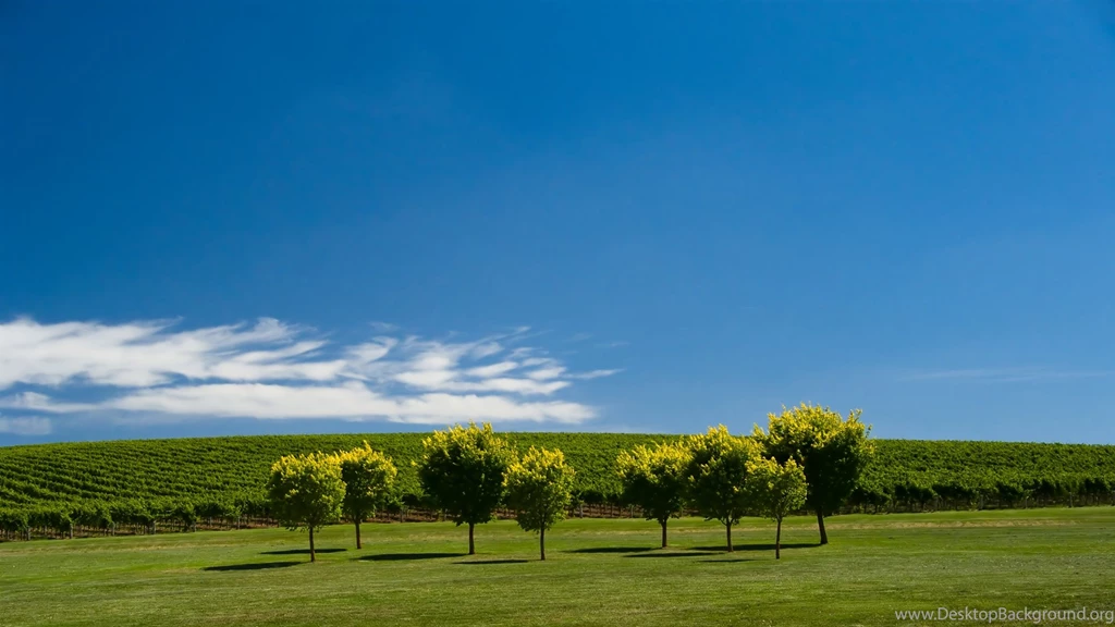 Nature Hd Wallpapers With 1920x1080 Resolution