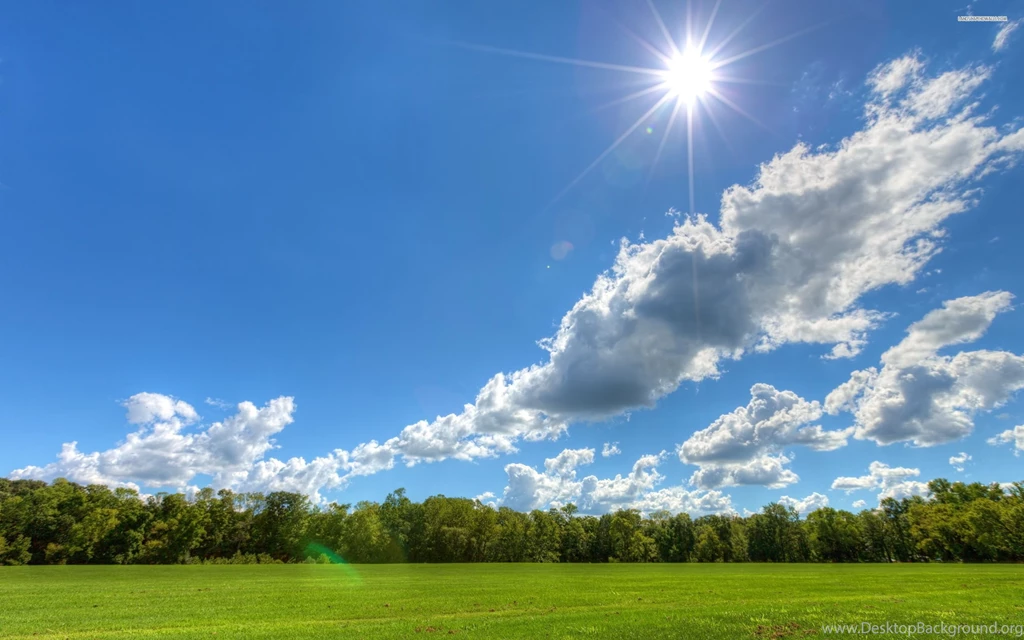 Clear Sky On A Sunny Day, Cloud, Field, Tree, Nature, 2560x1600 HD ...