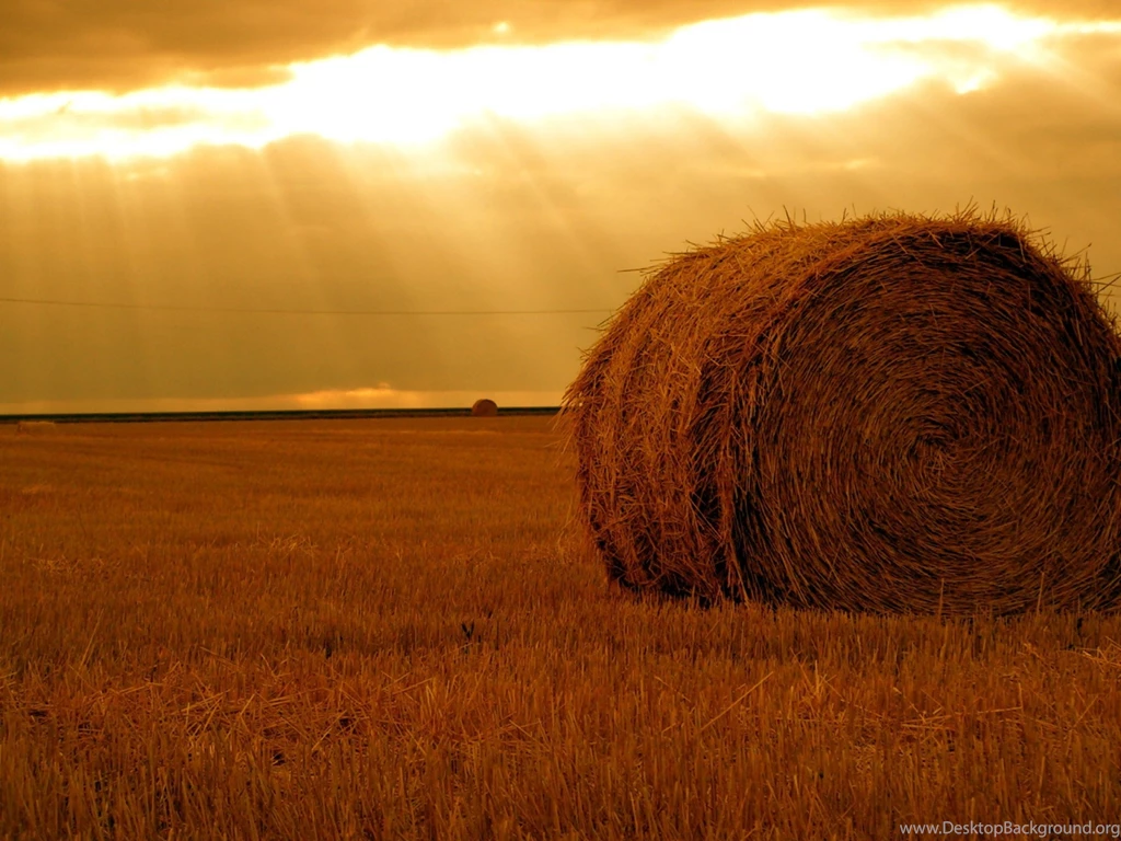 2560x1920 Hay Bale Field & Sunny Sky Desktop PC And Mac Wallpapers