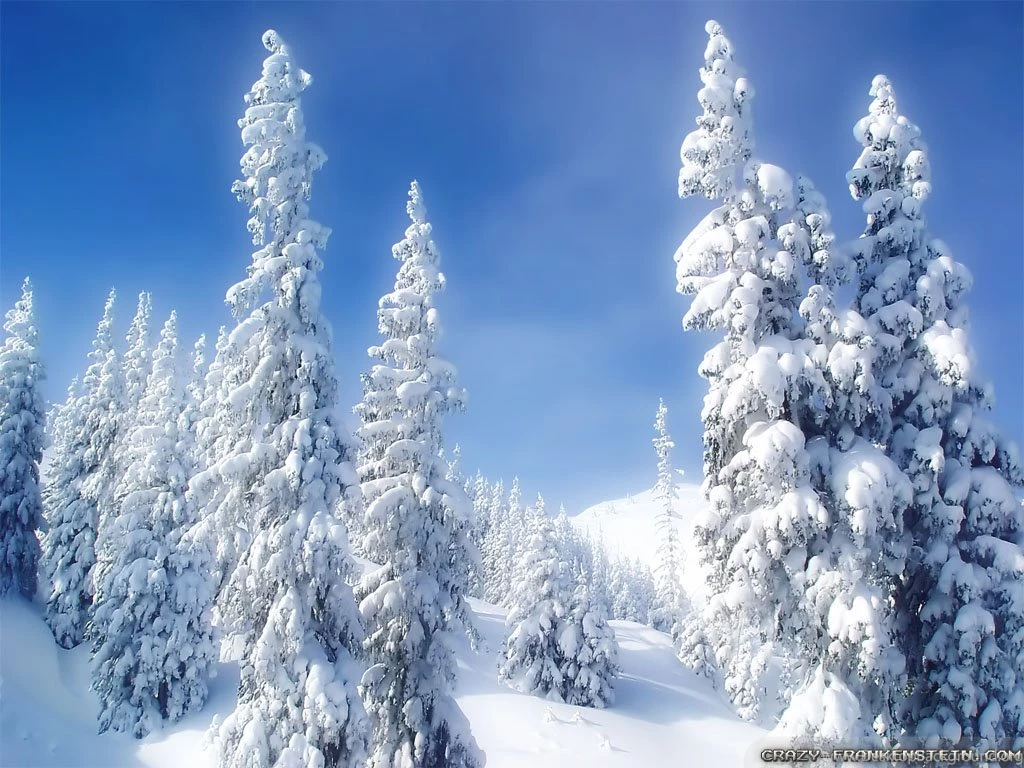 Winter Wonderland Wallpapers Crazy Frankenstein