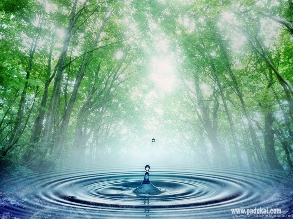 Beautiful Images Of Nature