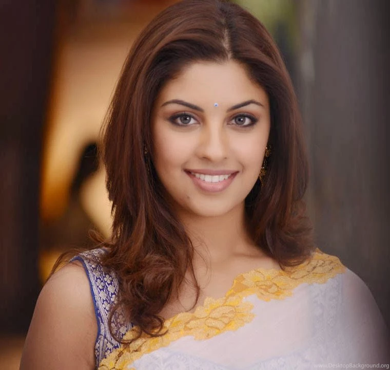 Richa Gangopadhyay Hot Hd Wallpapers In Saree In Bhai Movie ...
